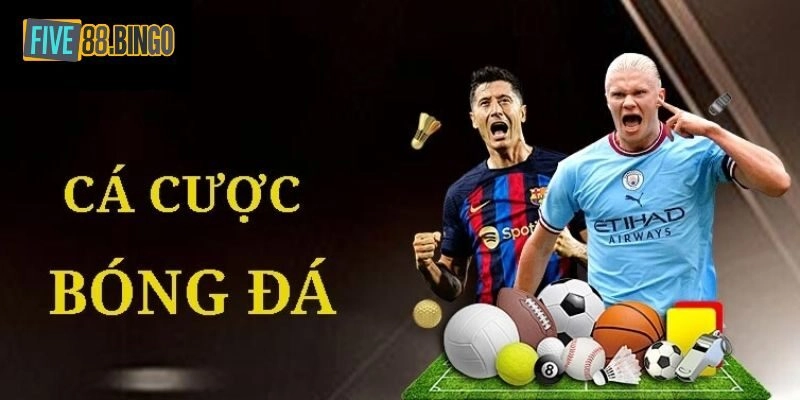 Tỷ Lệ Cá Cược Bóng Đá Five88: Đọc Như Thế Nào Cho Đúng?