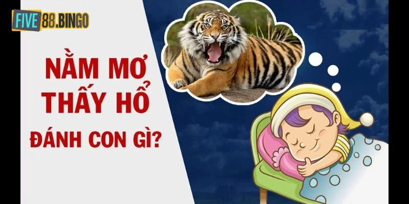 Gợi ý con số may mắn dành cho cược thủ khi mơ thấy hổ